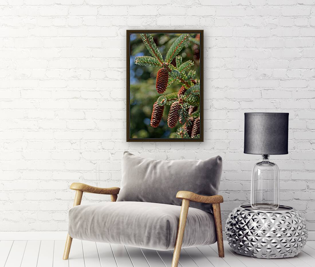 fir tree with cones 4 Reproduction