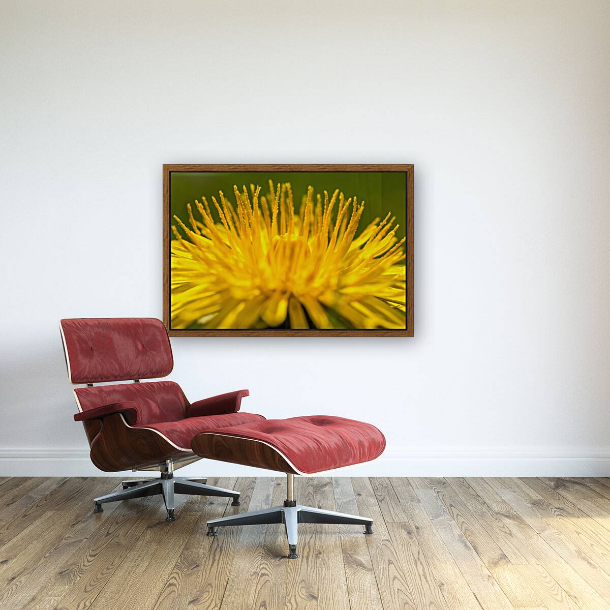 Dandelion  Reproduction