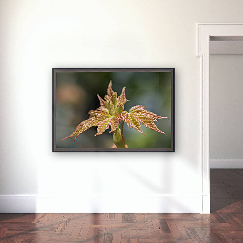 Leaves Reproduction
