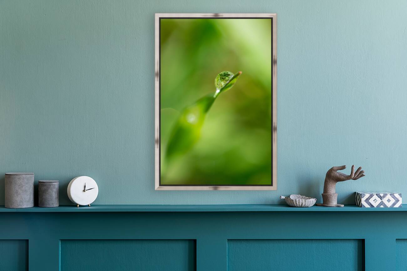 Water drop Reproduction