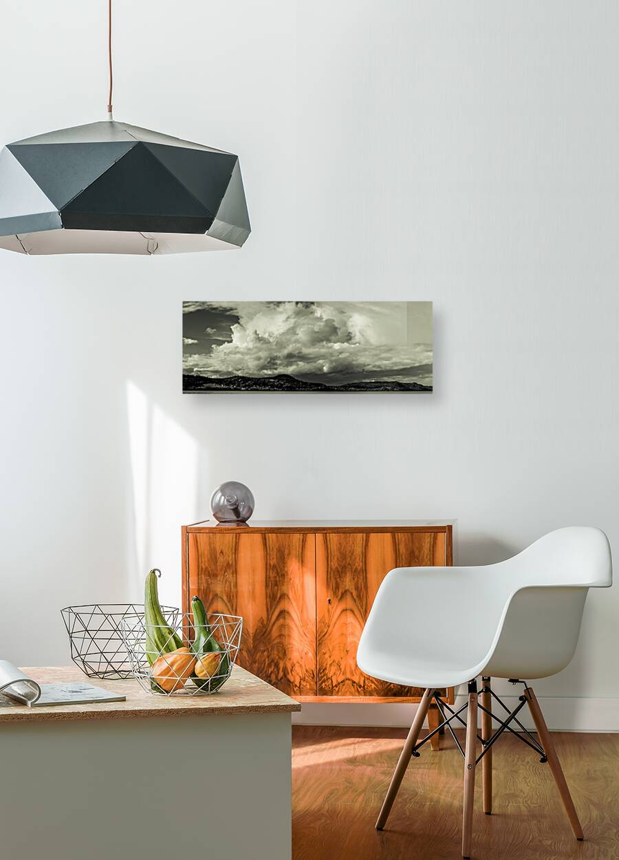 Panorama Reproduction