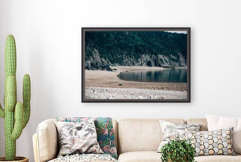 Fundy Trail Provincial Park NB Canada by Olena Ivanova