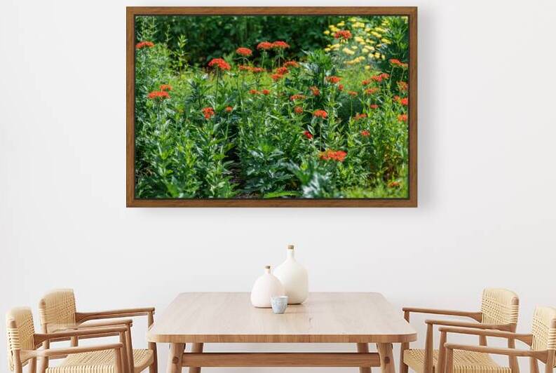 Kingsbrae Garden in Saint Andrews New Brunswick by Olena Ivanova