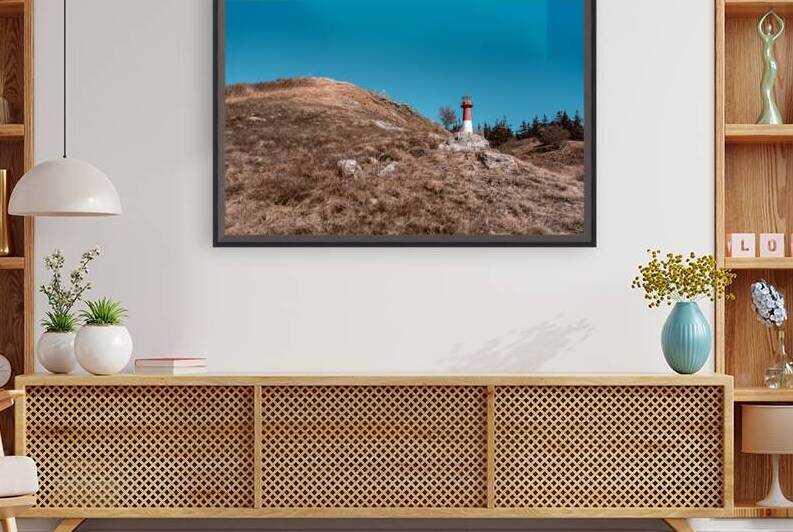 Cape Spencer New Brunswick 10 by Olena Ivanova