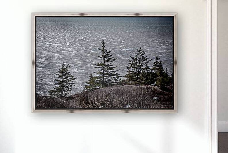 Cape Spencer New Brunswick by Olena Ivanova
