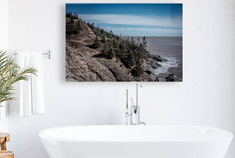 Cape Spencer New Brunswick by Olena Ivanova