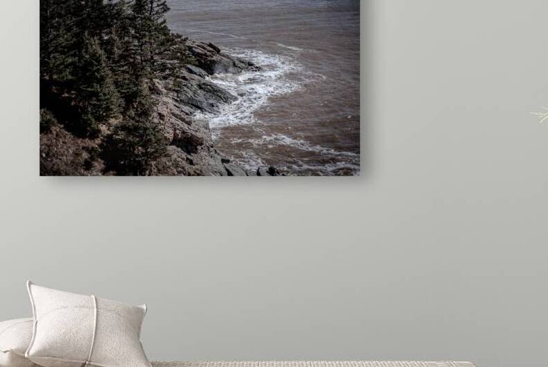 Cape Spencer New Brunswick by Olena Ivanova