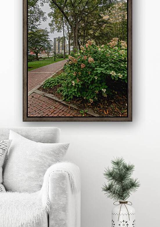 Saint John Uptown New Brunswick by Olena Ivanova