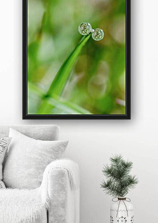 Drops by Olena Ivanova