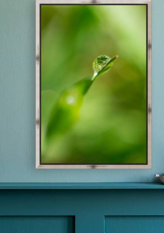 Water drop by Olena Ivanova