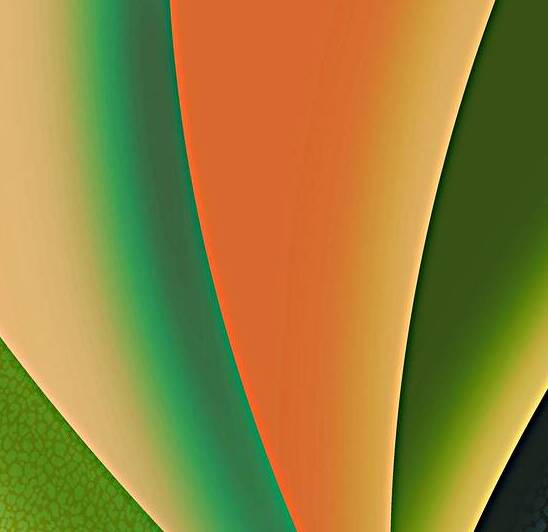 Shell Green by Olena Ivanova