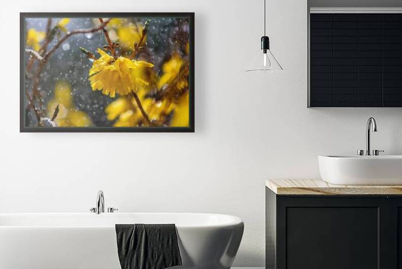 Yellow Flower in rain Reproduction