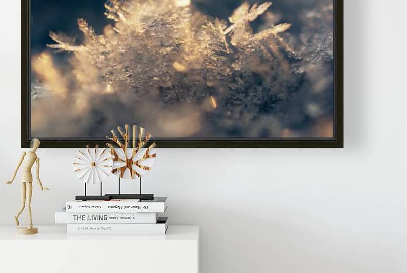 Snowflake by Olena Ivanova
