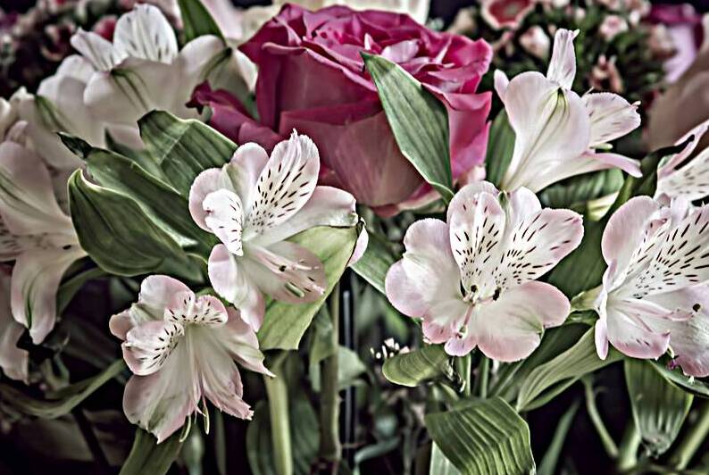 The Beauty of Nature by Olena Ivanova