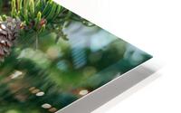 fir tree with cones 5 HD Metal print