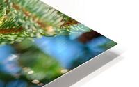 fir tree with cones 9 HD Metal print