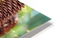 fir tree with cones 2 HD Metal print