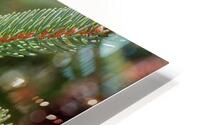 fir tree with cones 4 HD Metal print