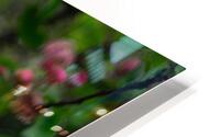 Flowers closeup 4 HD Metal print