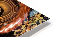 Peacock Abstract Dark HD Metal print