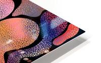 Chameleon Rainbow HD Metal print