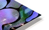 Chameleon Blue HD Metal print