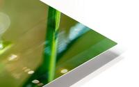 Drops HD Metal print