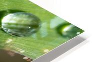 Drops HD Metal print