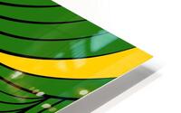 Organic Flow Green HD Metal print