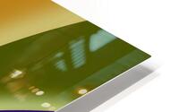 Shell Yellow Green HD Metal print