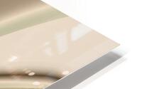Shell Pastel HD Metal print