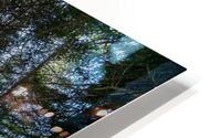 The Beauty of Nature HD Metal print