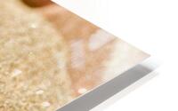 Sand  HD Metal print