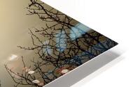 Island  HD Metal print