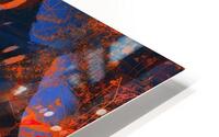 After the Bloom HD Metal print