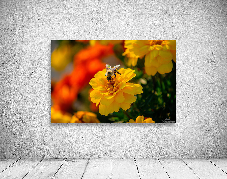 bee and flowers 2 Wall Preview
