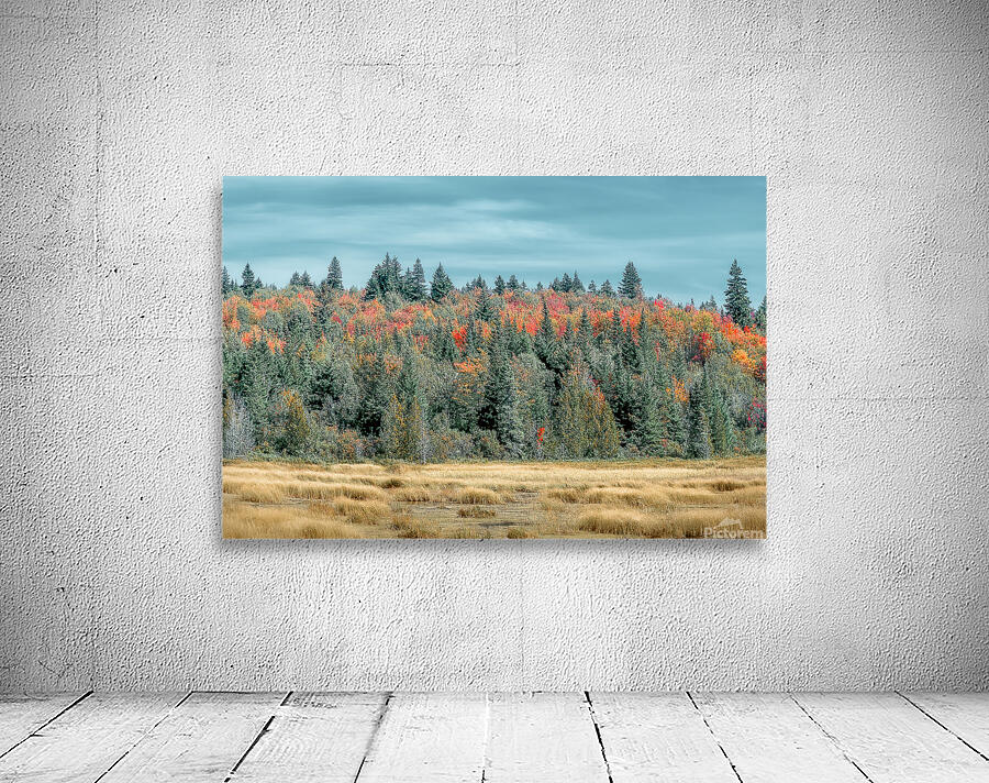 Red trees Wall Preview