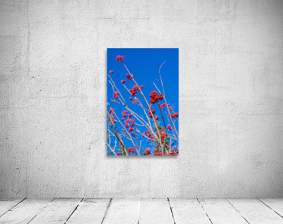 Blue 3 Wall Preview