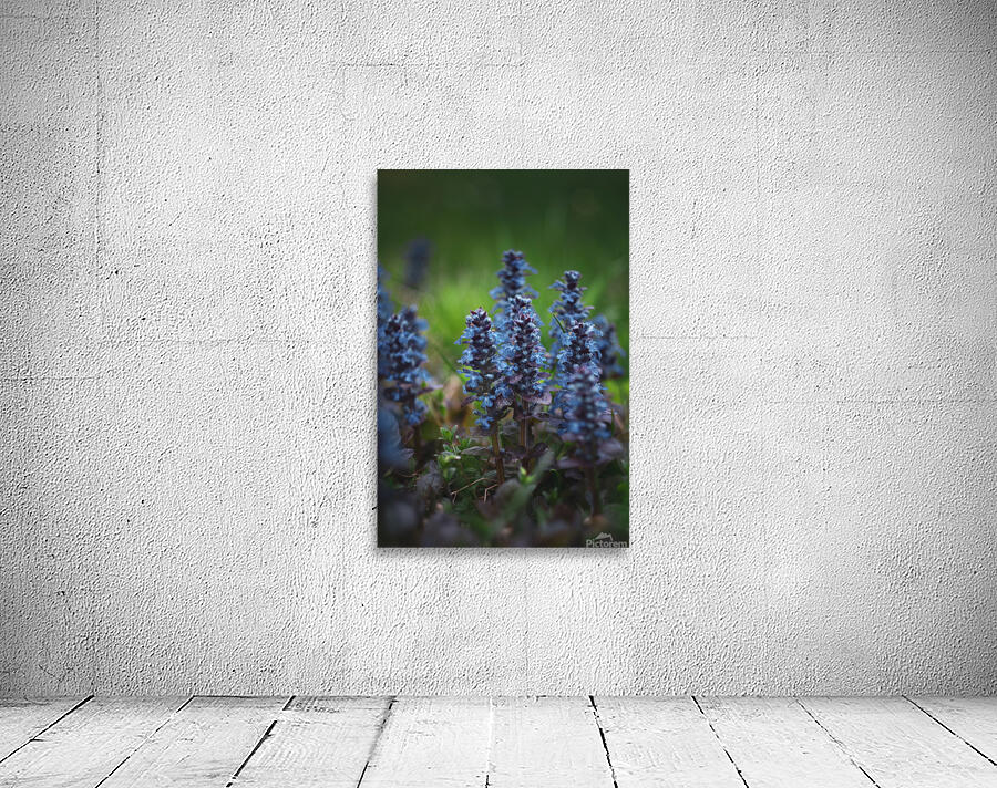 Flowers closeup 12 Wall Preview