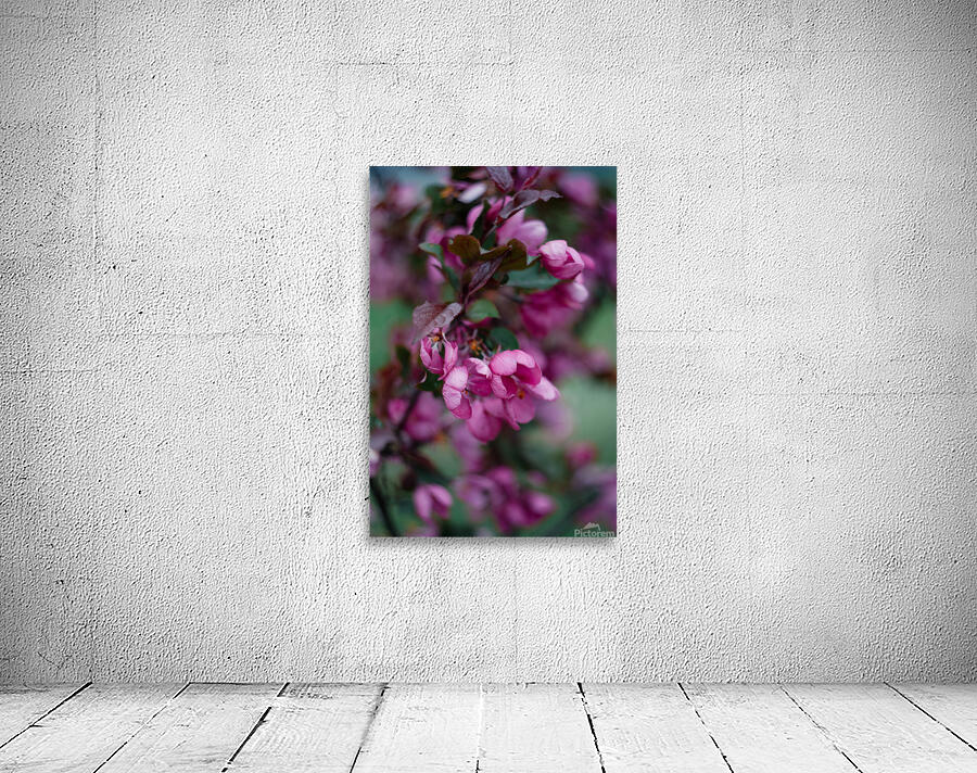 Flowers closeup 14 Wall Preview