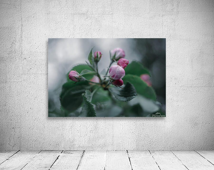 Flowers closeup 17 Wall Preview