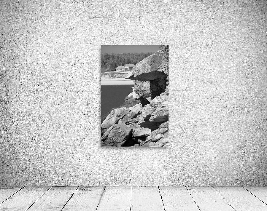 The Beauty of Nature Wall Preview