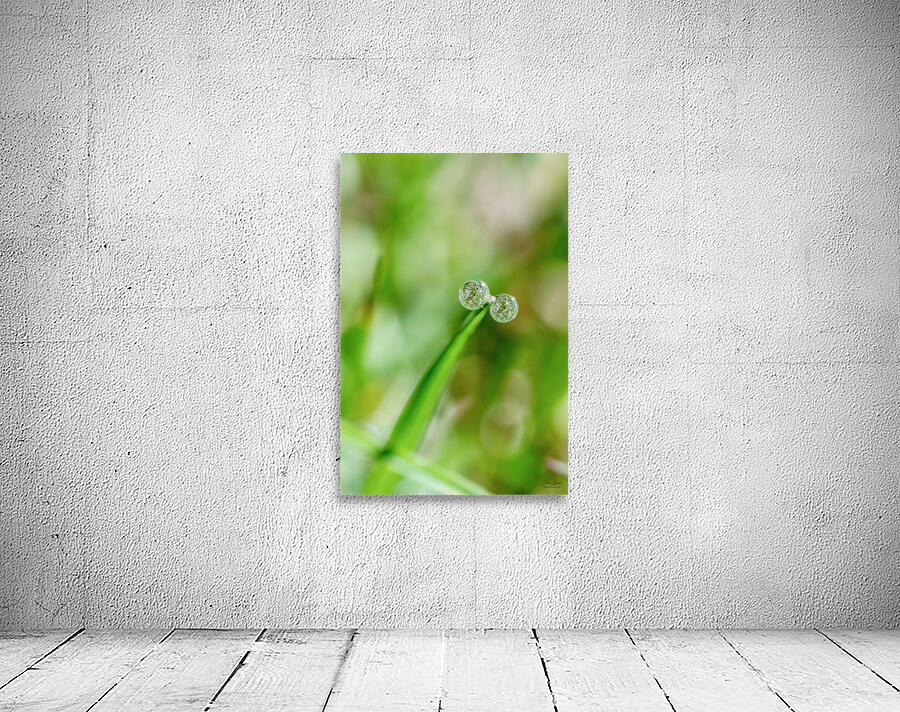 Drops Wall Preview