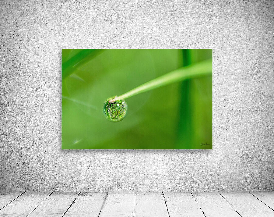 Drops Wall Preview