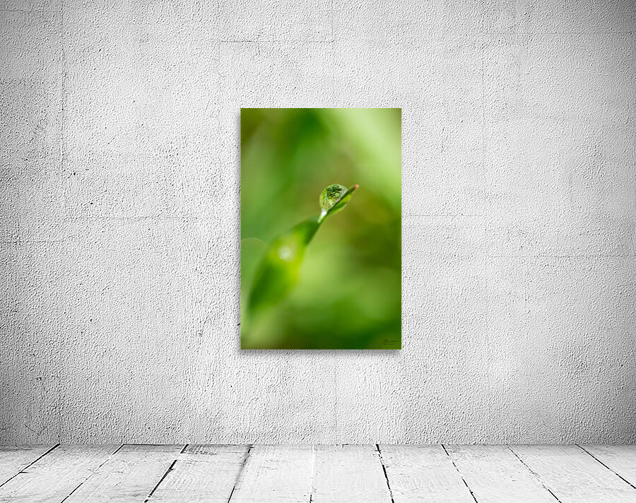 Water drop Wall Preview