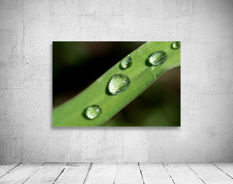 Drops Wall Preview