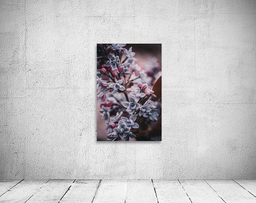 Flowers Wall Preview