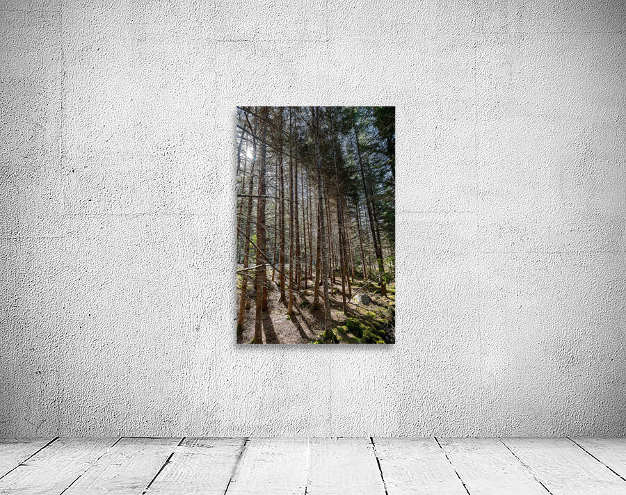 The Beauty of Nature Wall Preview