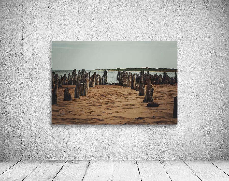 PEI Beach Wall Preview