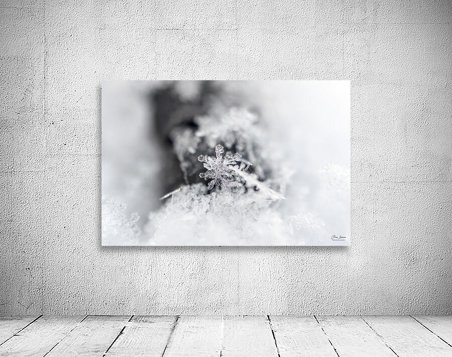 Snowflake Wall Preview